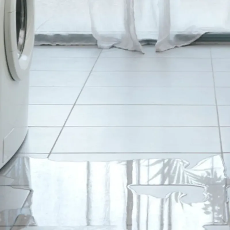 Appliance Leak Cleanup in Page, AZ