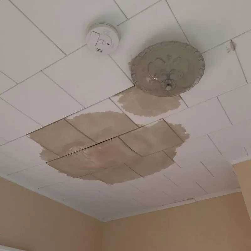 Ceiling Water Damage Repair in Page, AZ