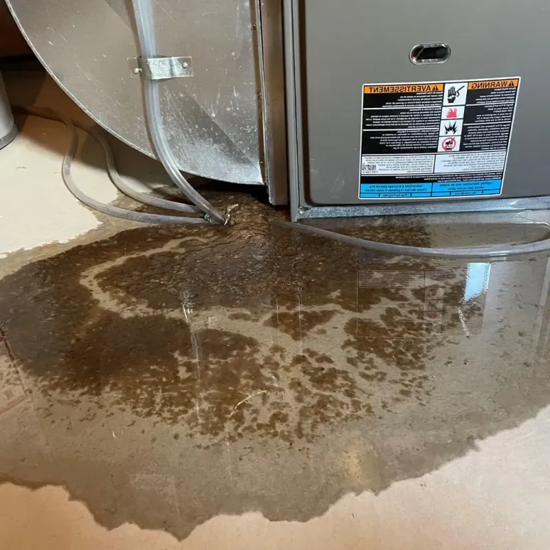 Pipe Burst and Leak Restoration in Page, AZ