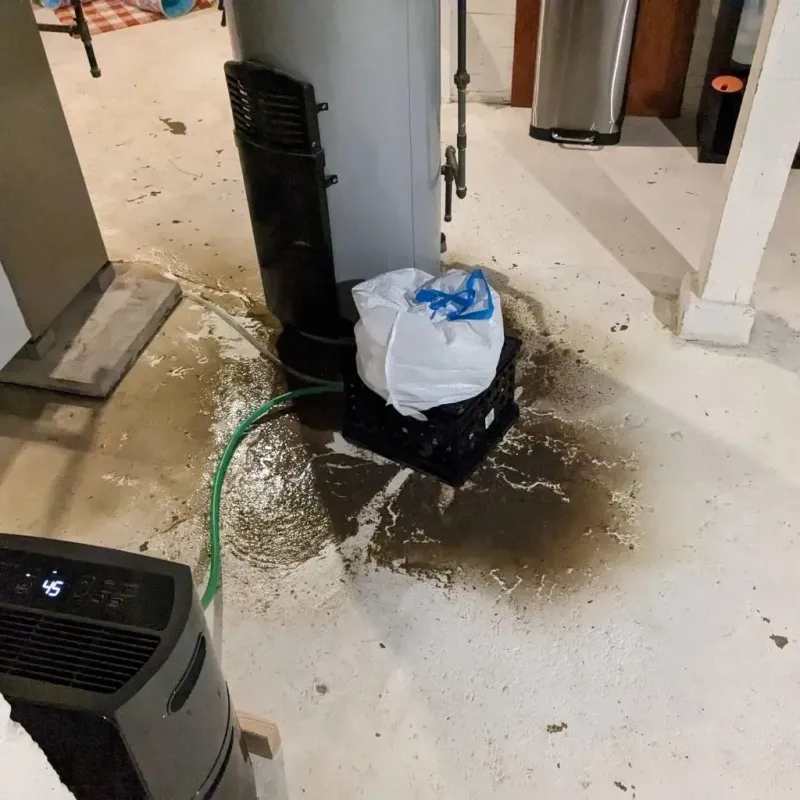 Sewage Backup Cleanup Service in Page, AZ